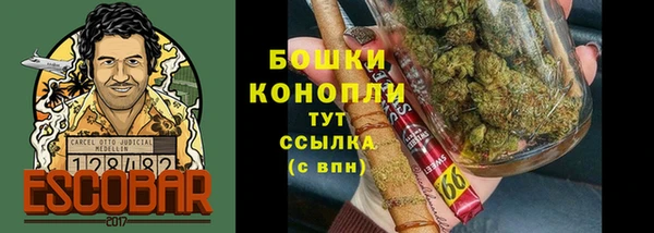 дмт Козельск