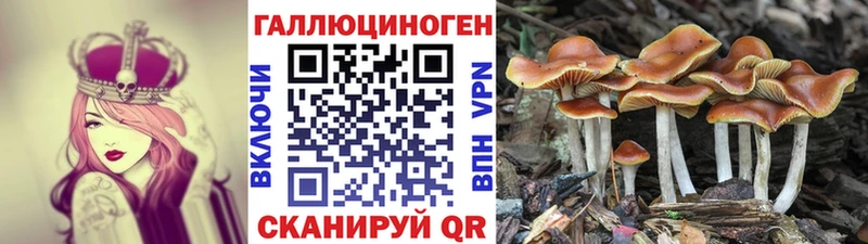 Галлюциногенные грибы GOLDEN TEACHER  Оленегорск 